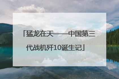 猛龙在天——中国第三代战机歼10诞生记