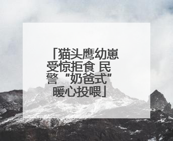 猫头鹰幼崽受惊拒食 民警“奶爸式”暖心投喂