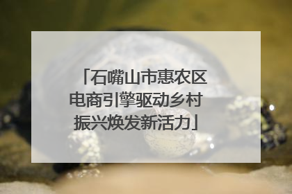 石嘴山市惠农区电商引擎驱动乡村振兴焕发新活力