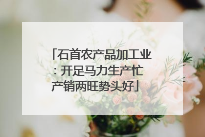 石首农产品加工业：开足马力生产忙 产销两旺势头好