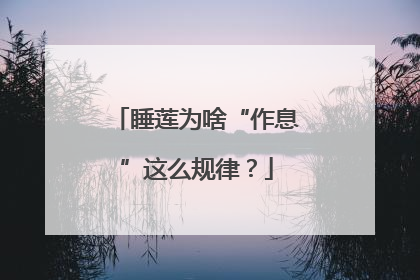 睡莲为啥“作息”这么规律？