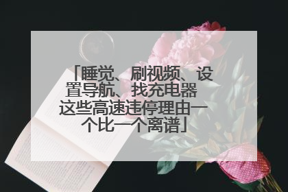 睡觉、刷视频、设置导航、找充电器 这些高速违停理由一个比一个离谱