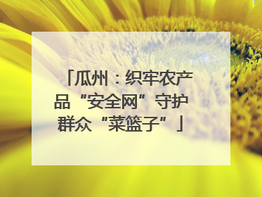 瓜州：织牢农产品“安全网”守护群众“菜篮子”