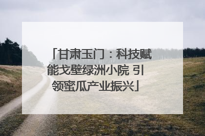 甘肃玉门：科技赋能戈壁绿洲小院 引领蜜瓜产业振兴