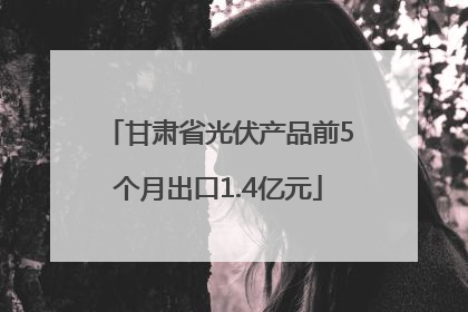 甘肃省光伏产品前5个月出口1.4亿元