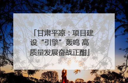 甘肃平凉：项目建设“引擎”轰鸣 高质量发展奋战正酣