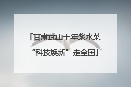 甘肃武山千年浆水菜“科技焕新”走全国