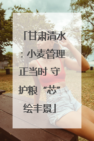甘肃清水：小麦管理正当时 守护粮“芯”绘丰景