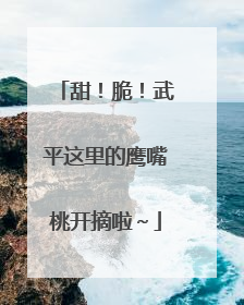 甜！脆！武平这里的鹰嘴桃开摘啦～