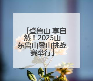 登鲁山 享自然！2025山东鲁山登山挑战赛举行