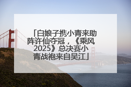 白娘子携小青来助阵许仙夺冠，《乘风2025》总决赛小青战袍来自吴江