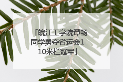 皖江工学院谭畅同学勇夺省运会110米栏冠军
