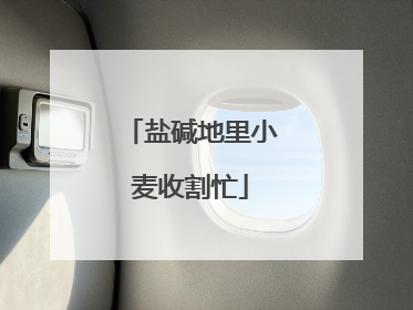 盐碱地里小麦收割忙