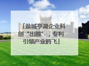 盐城亭湖企业科创“出圈”，专利引领产业腾飞