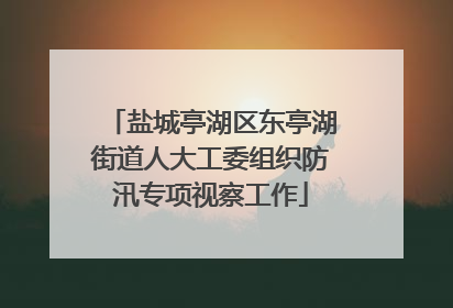 盐城亭湖区东亭湖街道人大工委组织防汛专项视察工作