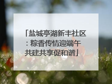盐城亭湖新丰社区：粽香传情迎端午 共建共享促和谐