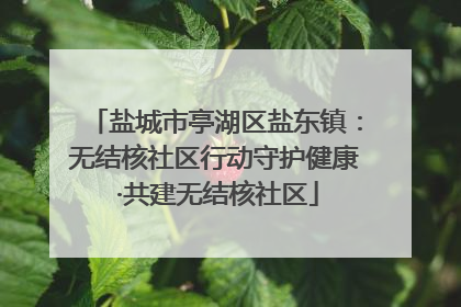 盐城市亭湖区盐东镇：无结核社区行动守护健康 ·共建无结核社区