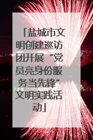 盐城市文明创建巡访团开展“党员亮身份服务当先锋”文明实践活动