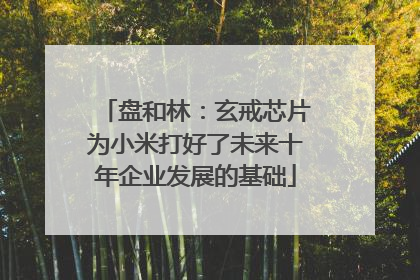 盘和林：玄戒芯片为小米打好了未来十年企业发展的基础