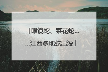 眼镜蛇、菜花蛇……江西多地蛇出没