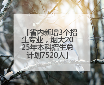 省内新增3个招生专业，烟大2025年本科招生总计划7520人