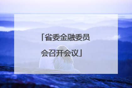 省委金融委员会召开会议