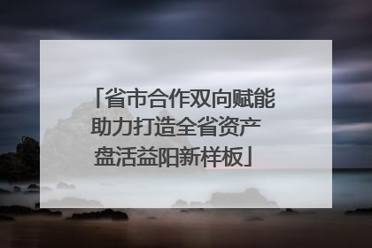 省市合作双向赋能 助力打造全省资产盘活益阳新样板