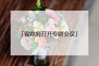 省政府召开专题会议