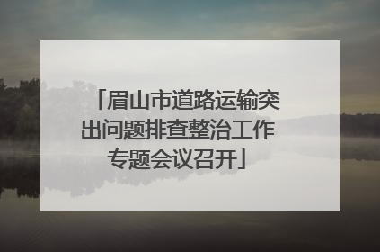 眉山市道路运输突出问题排查整治工作专题会议召开