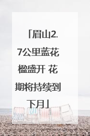 眉山2.7公里蓝花楹盛开 花期将持续到下月