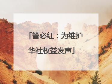 管必红：为维护华社权益发声