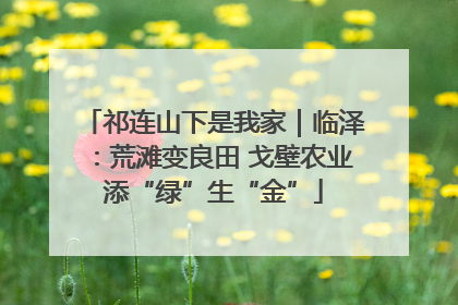 祁连山下是我家｜临泽：荒滩变良田 戈壁农业添“绿”生“金”