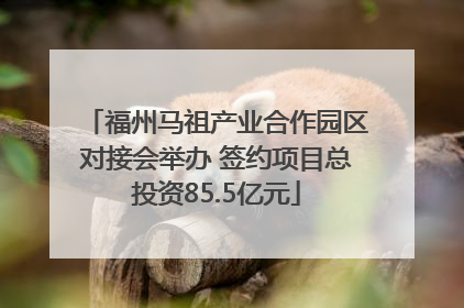 福州马祖产业合作园区对接会举办 签约项目总投资85.5亿元