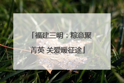 福建三明：粽意聚菁英 关爱暖征途