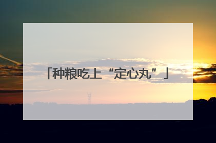 种粮吃上“定心丸”