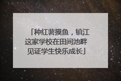 种红薯摸鱼，镇江这家学校在田间池畔见证学生快乐成长