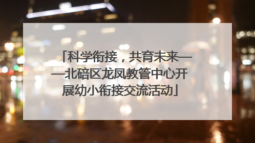 科学衔接，共育未来——北碚区龙凤教管中心开展幼小衔接交流活动