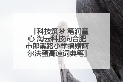 科技筑梦 笔润童心 淘云科技向合肥市郎溪路小学捐赠阿尔法蛋高速词典笔