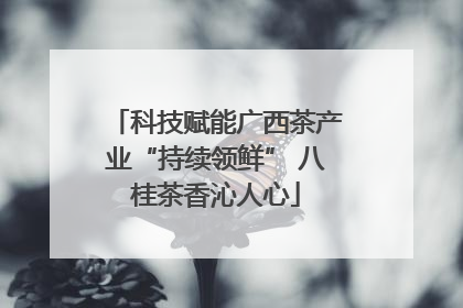 科技赋能广西茶产业“持续领鲜” 八桂茶香沁人心