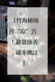竹海秘境开“凉”方！避暑康养，就来桃江