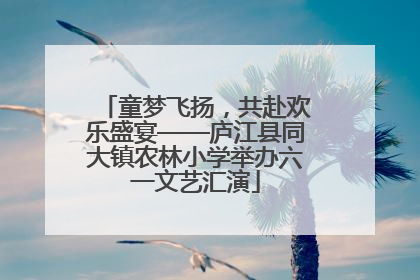 童梦飞扬，共赴欢乐盛宴——庐江县同大镇农林小学举办六一文艺汇演