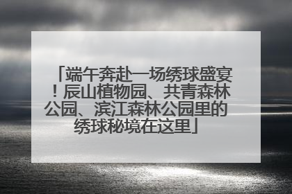 端午奔赴一场绣球盛宴！辰山植物园、共青森林公园、滨江森林公园里的绣球秘境在这里