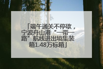 端午通关不停歇，宁波舟山港“一带一路”航线进出境集装箱1.48万标箱