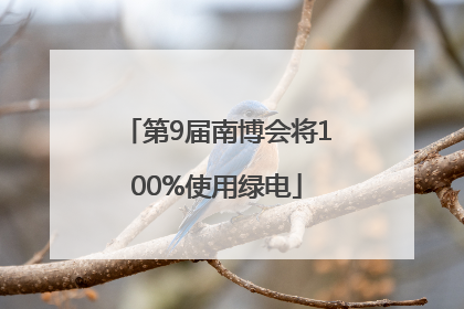 第9届南博会将100%使用绿电