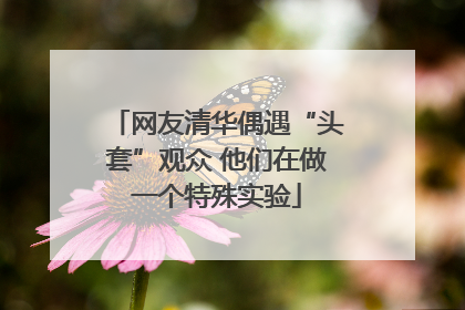 网友清华偶遇“头套”观众 他们在做一个特殊实验