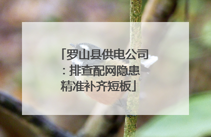 罗山县供电公司：排查配网隐患 精准补齐短板