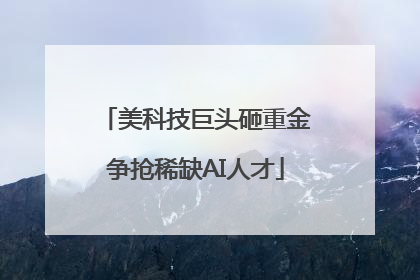 美科技巨头砸重金争抢稀缺AI人才