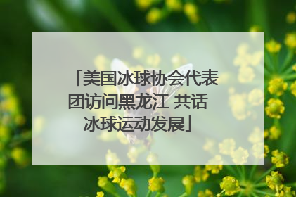 美国冰球协会代表团访问黑龙江 共话冰球运动发展