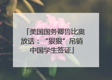 美国国务卿鲁比奥放话：“狠狠”吊销中国学生签证