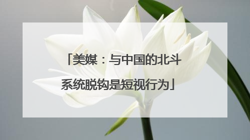 美媒：与中国的北斗系统脱钩是短视行为